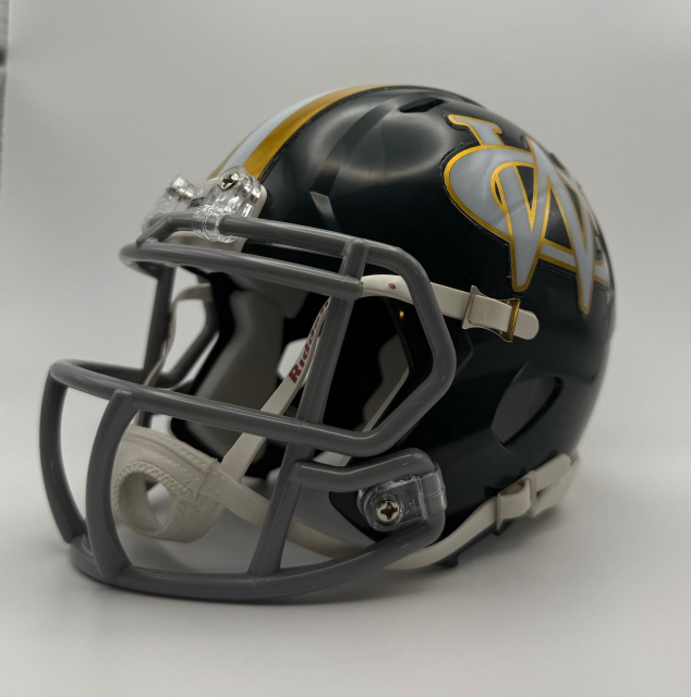 2019 football helmets high school Ware County Gators HS 2019 (GA)