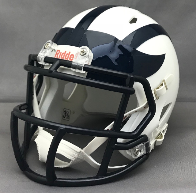 Wyomissing Spartans HS (PA) 2019 Riddell Speed