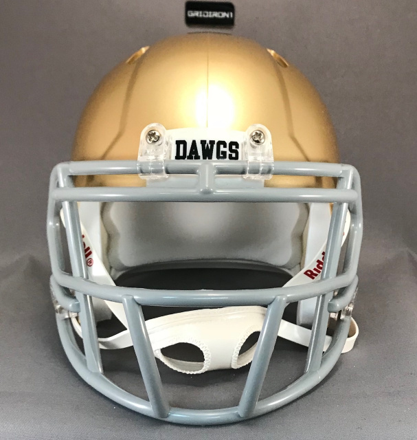 dawgs football helmet Georgia Bulldogs Riddell SpeedFlex field designs Georgia Football's Video on X