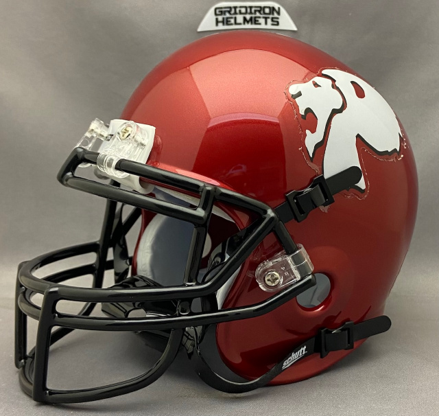 Alabama High School mini football helmets