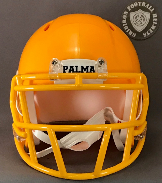 One Custom Mini Football Helmet Front 