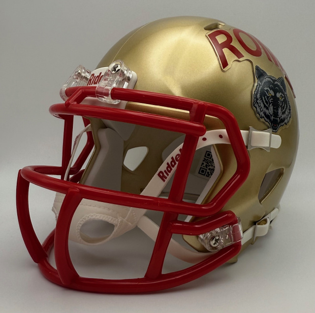 Georgia High School mini football helmets