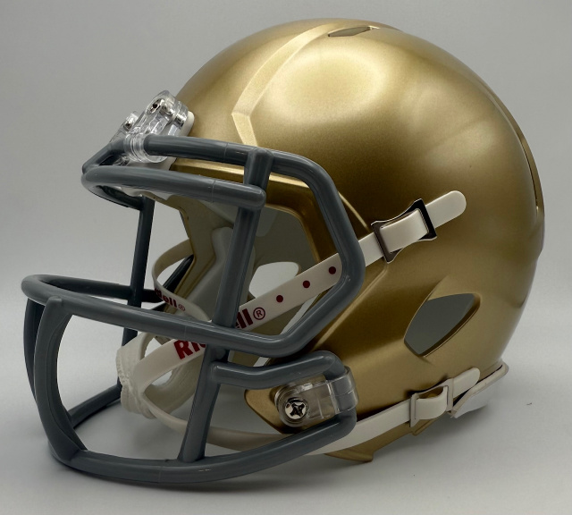 Alexander Bulldogs HS (TX) 2018 Riddell Speed