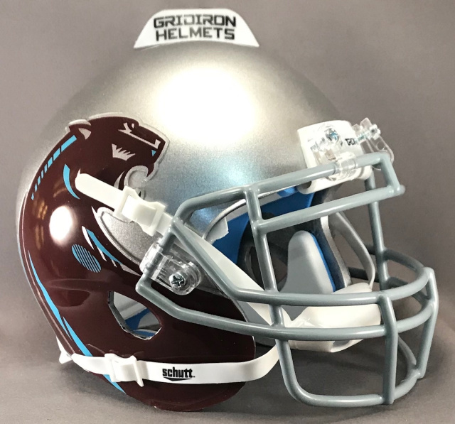Michigan Panthers 1983 Games 1-3 Silver Helmet