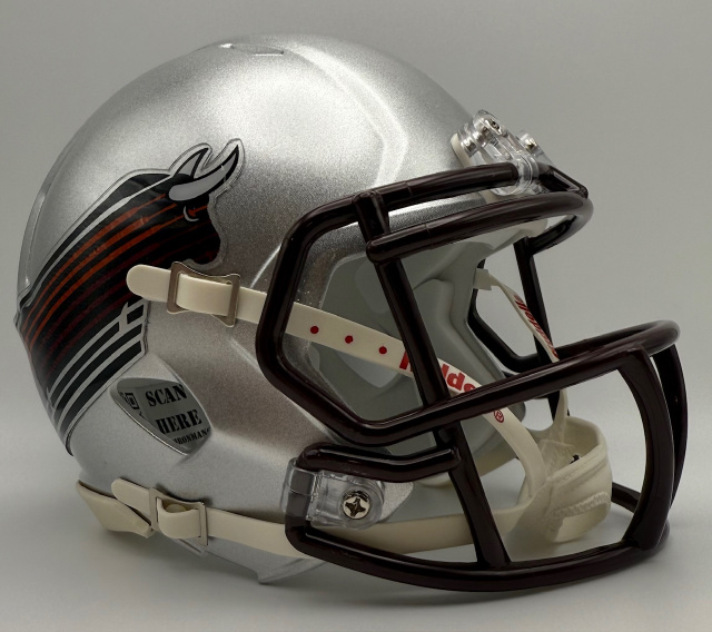 Jacksonville Bulls 1984-1985