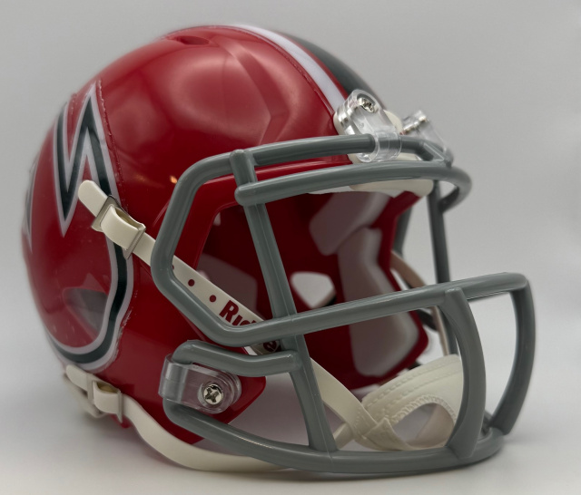 CHICAGO FIRE 1974 mini football helmet
