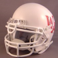 Schutt ROPU Metal Mini Football Helmet Facemask(facemasks clips not included)