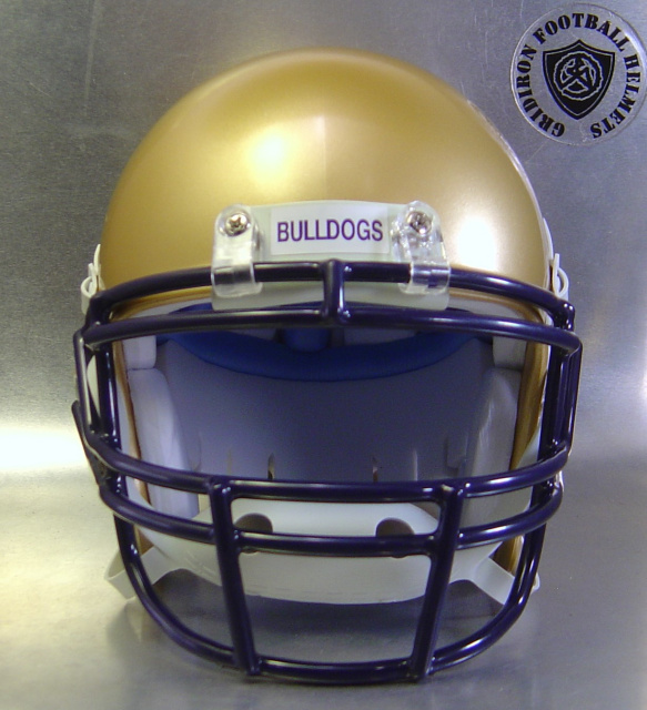 Fitzgerald Purple Hurricanes 2012 Georgia High School Football MINI Helmet 