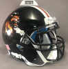 Cincinnati Royals (Lions)