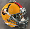 Detroit Wheels 1974 mini football helmets gray mask